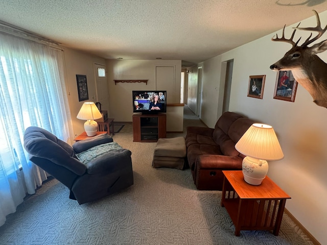 carpeted living room featuring a textured ceiling