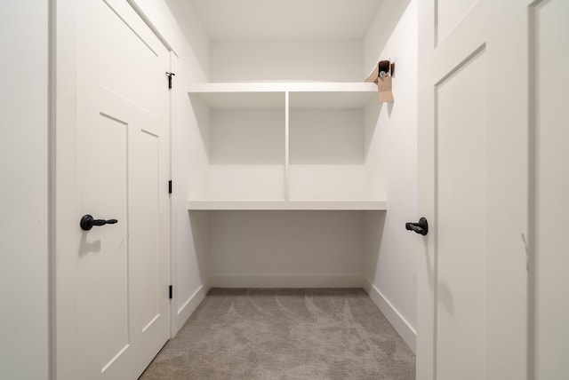 spacious closet with light carpet