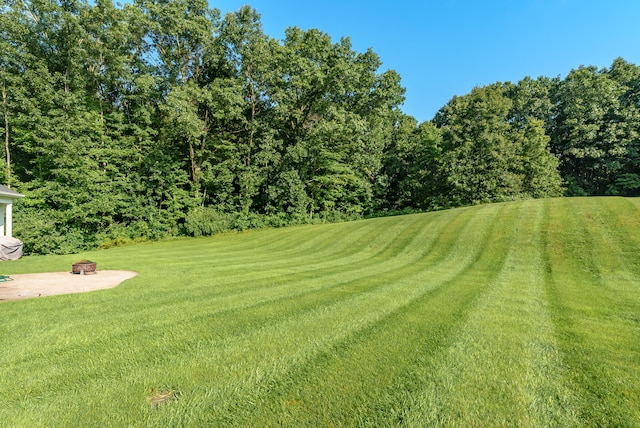 view of yard featuring a patio