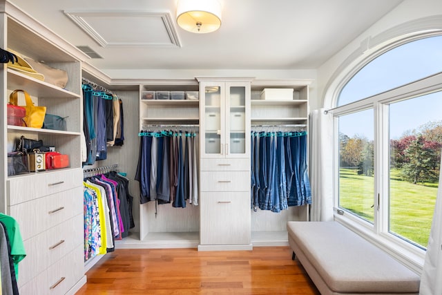 spacious closet with light hardwood / wood-style flooring