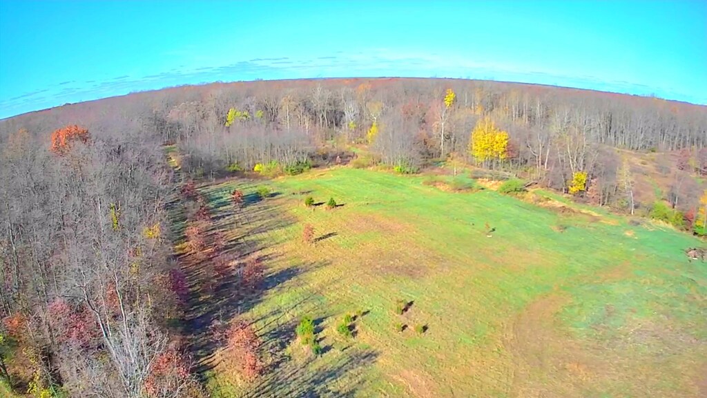 LotD Ewing Road, Lawton, MI 49065 - photo 1