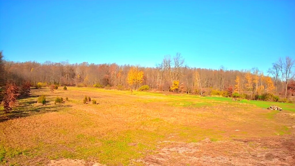 LotD Ewing Road, Lawton, MI 49065 - photo 2