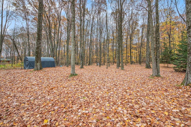 view of yard featuring a storage unit