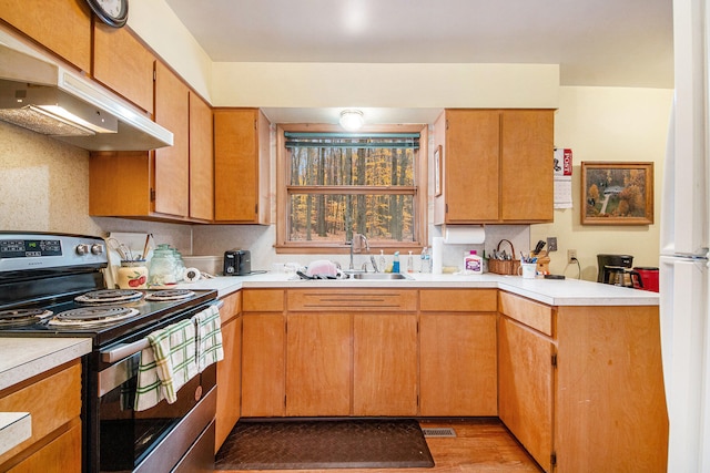 kitchen with sink, electric range, light hardwood / wood-style flooring, and kitchen peninsula