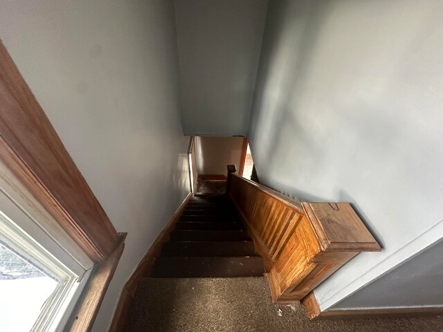 staircase with carpet