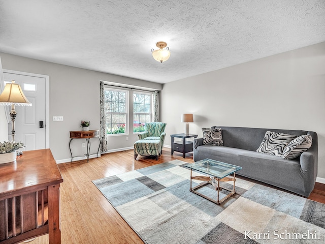 living room featuring wood-type flooring and a textured ceiling