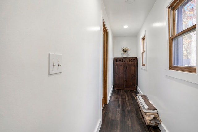 hallway featuring dark hardwood / wood-style flooring