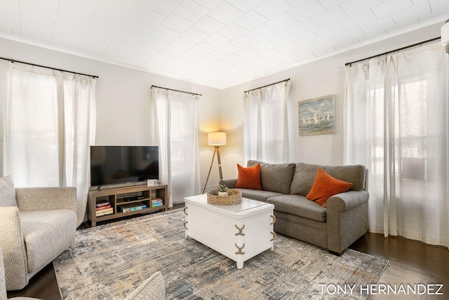 living room with wood-type flooring and crown molding