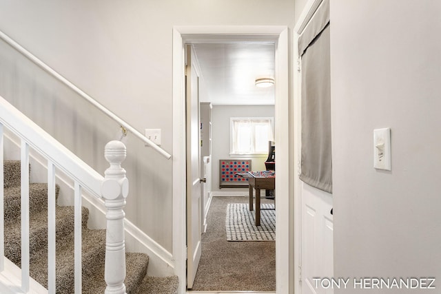 staircase featuring carpet floors