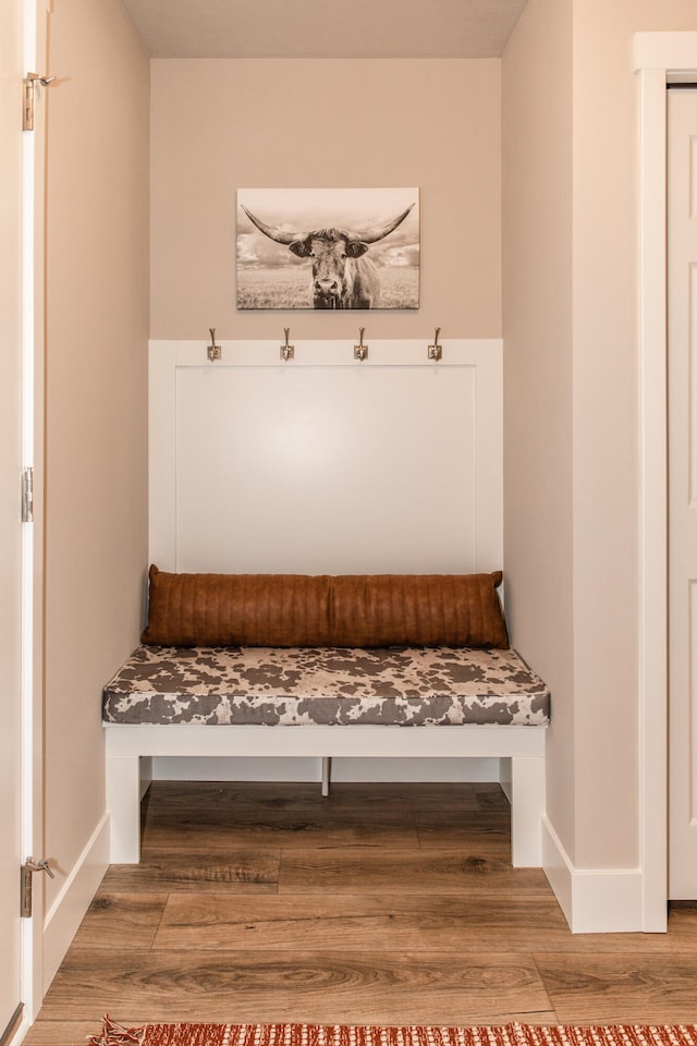 mudroom featuring hardwood / wood-style flooring