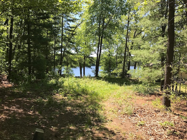 21249 Monroe Rd, Morley, MI 49336 - photo 5