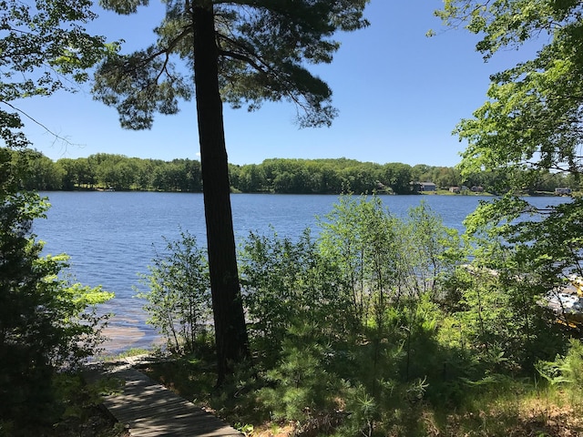21249 Monroe Rd, Morley, MI 49336 - photo 2