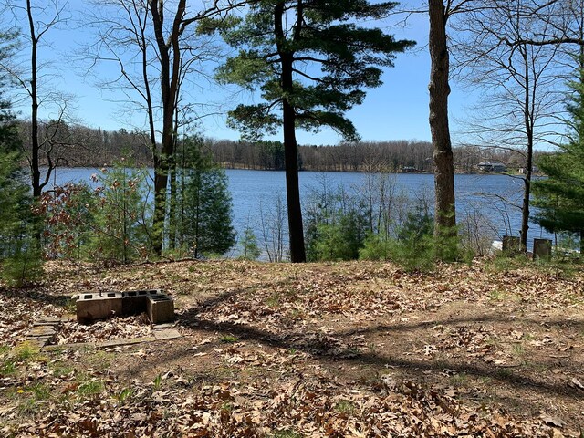 21249 Monroe Rd, Morley, MI 49336 - photo 1