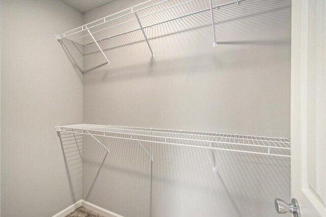 view of walk in closet