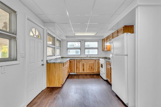 kitchen with a healthy amount of sunlight, a drop ceiling, dark hardwood / wood-style floors, and white appliances