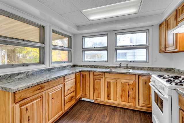 kitchen with sink, a drop ceiling, white range, and dark hardwood / wood-style flooring