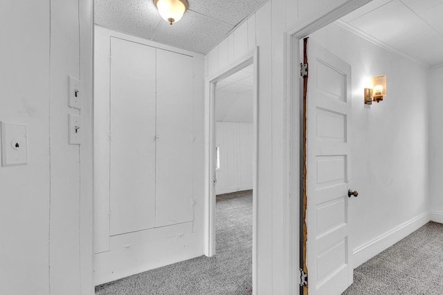 hallway with light colored carpet and wood walls