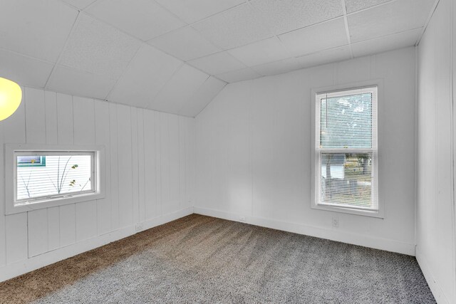 bonus room featuring carpet flooring