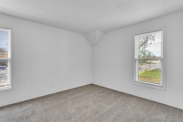 unfurnished room with carpet floors