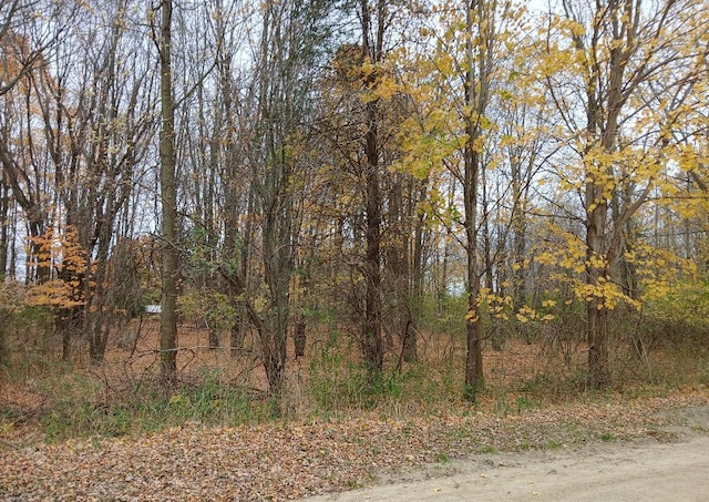 E Beach Dr, South Haven, MI 49090