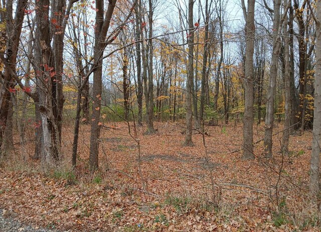E Beach Dr, South Haven, MI 49090