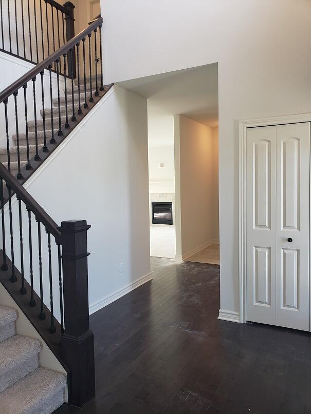 staircase with hardwood / wood-style flooring