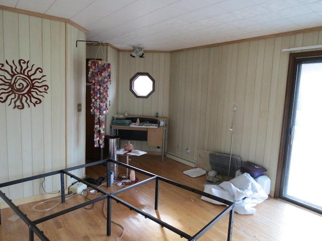 office featuring hardwood / wood-style floors and wooden walls