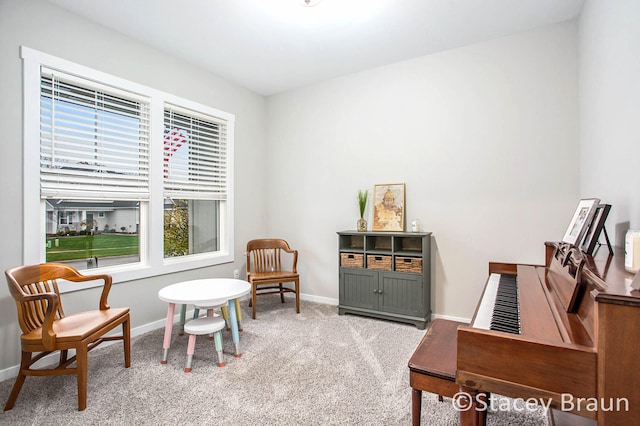 living area with light carpet