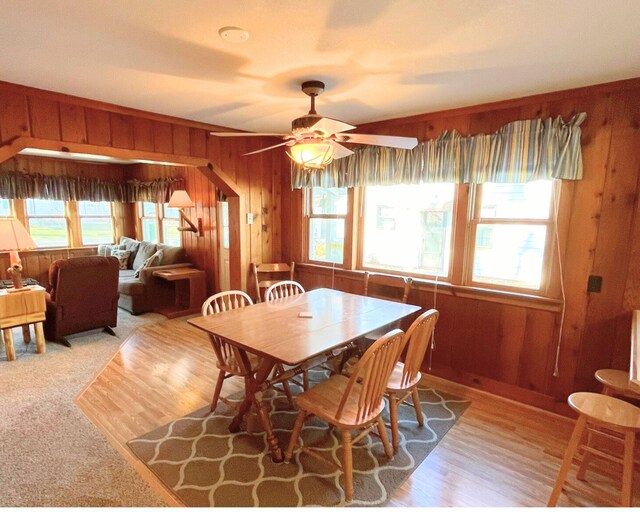 dining space featuring wood walls, ceiling fan, light wood-type flooring, and plenty of natural light