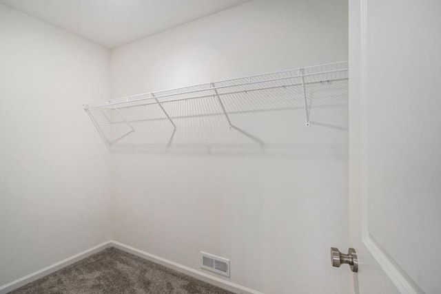 spacious closet featuring carpet