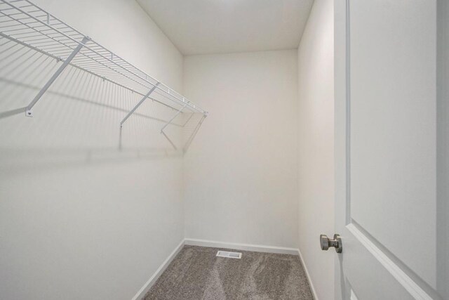 walk in closet featuring carpet flooring