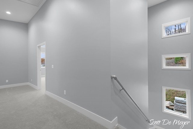 hallway with a high ceiling and carpet flooring