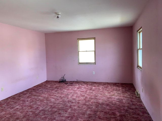 spare room featuring carpet flooring