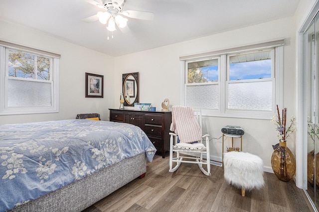 bedroom featuring ceiling fan, multiple windows, a closet, and wood-type flooring