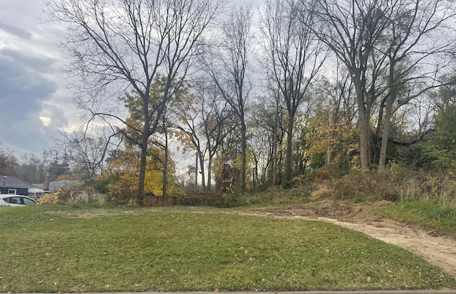 867 Hill St, Ypsilanti, MI 48197 - photo 1