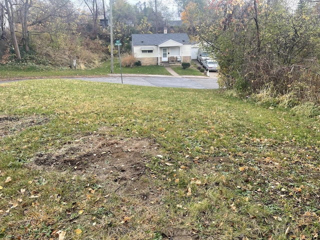 317 Orchard St, Ypsilanti, MI 48197 - photo 4