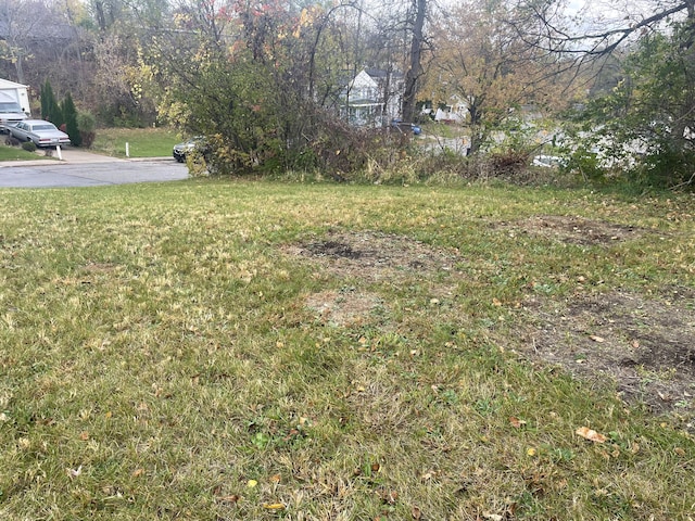 317 Orchard St, Ypsilanti, MI 48197 - photo 3