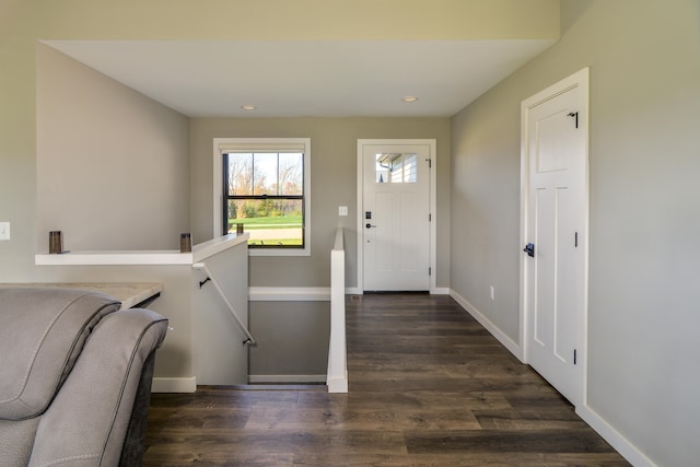 entryway featuring dark hardwood / wood-style flooring