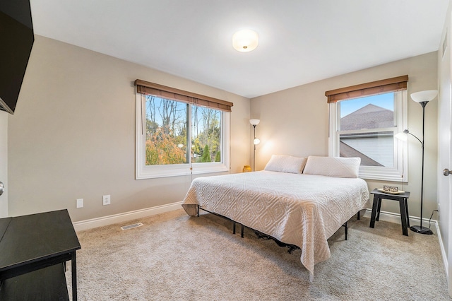 carpeted bedroom with multiple windows