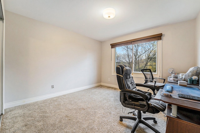 office space featuring carpet flooring