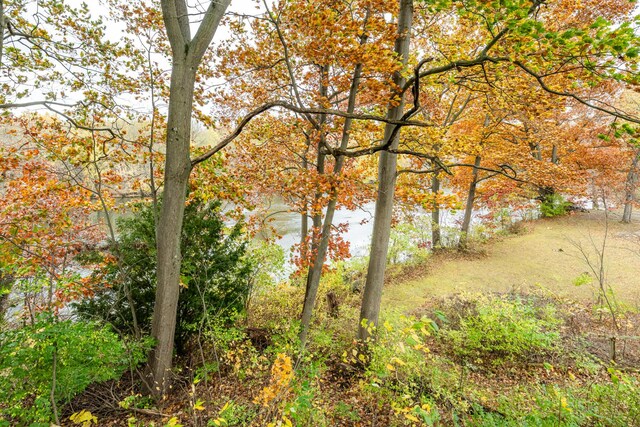 1820 River Bluff Rd, Niles, MI 49120 - view of nature