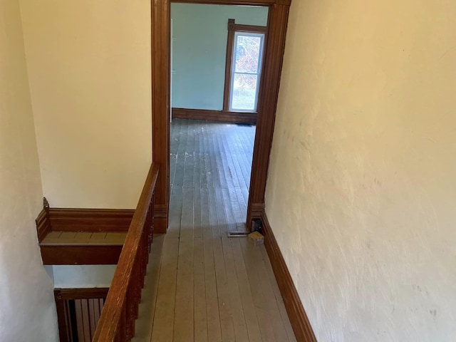 staircase with hardwood / wood-style floors