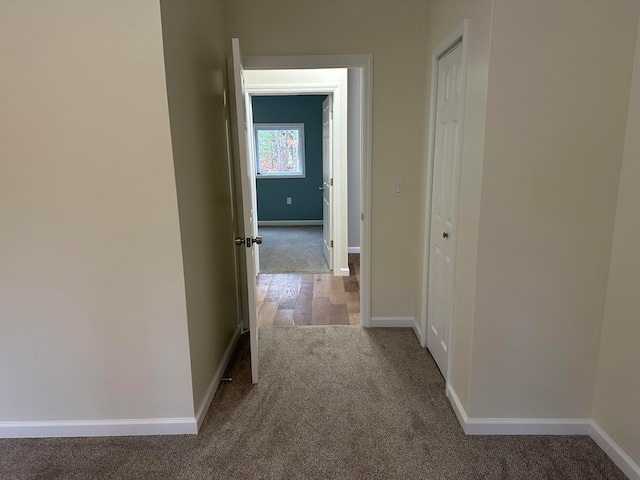 corridor with hardwood / wood-style floors