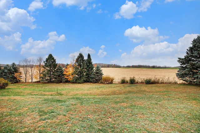 view of yard featuring a rural view