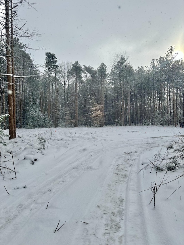 snowy yard with a wooded view