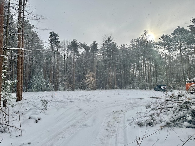 snowy yard with a forest view