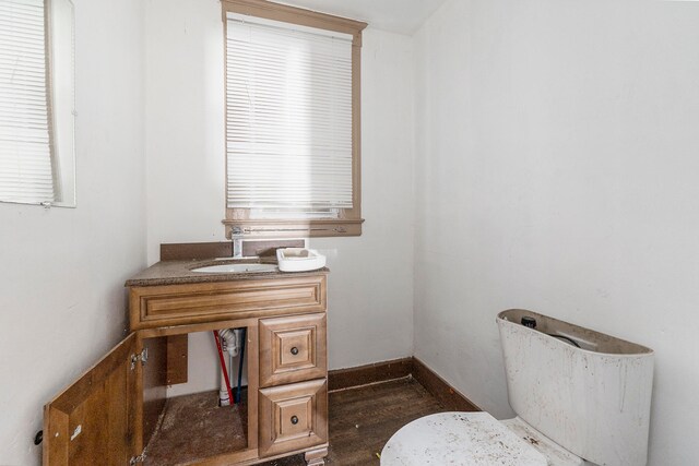 bathroom with toilet and vanity