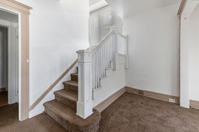 staircase featuring carpet floors