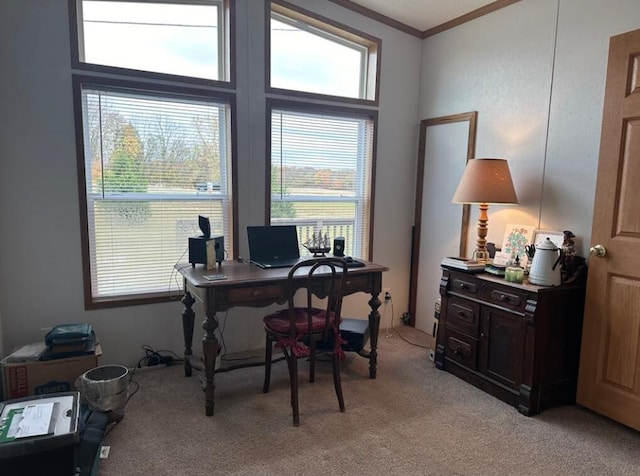 carpeted office featuring ornamental molding