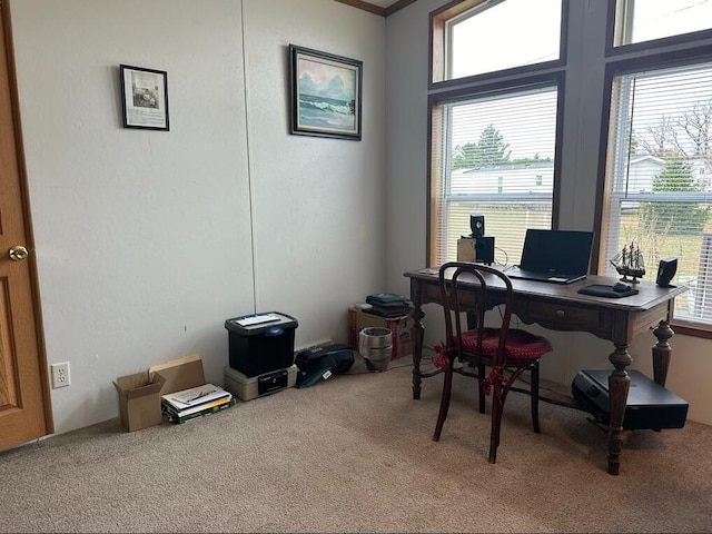 carpeted home office featuring a wealth of natural light and ornamental molding